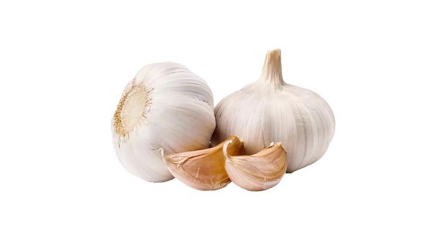 Normal White Garlic