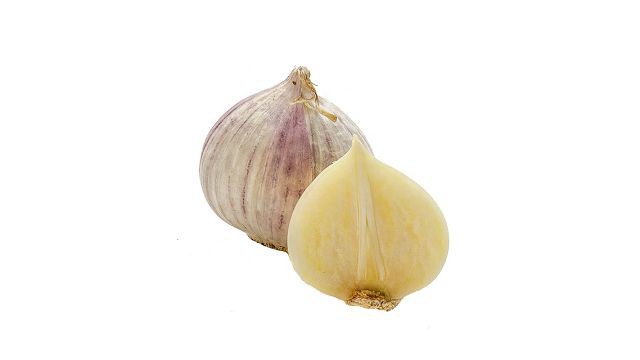 Solo Garlic