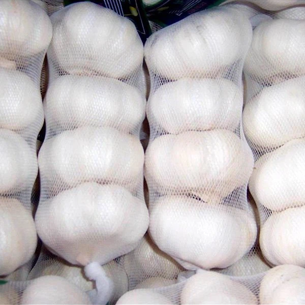 Fresh Pure White Garlic Small Package Fresh Pure White Garlic Small Package