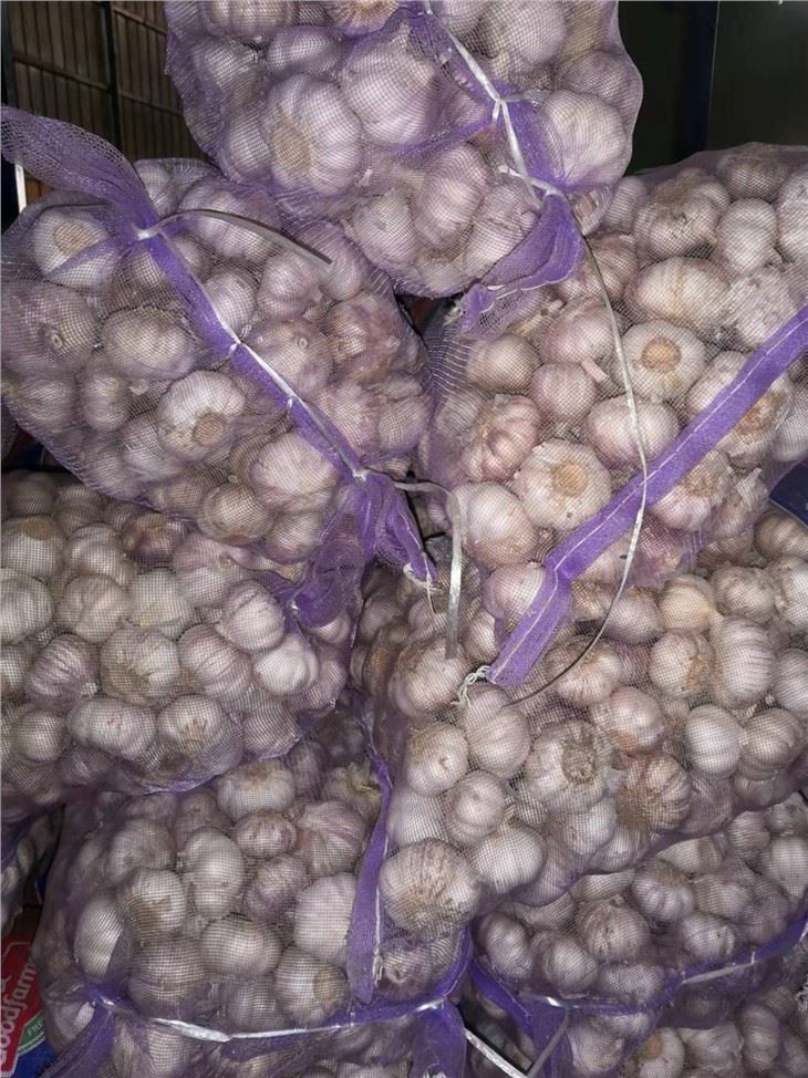 2021 Fresh Garlic Sold To Indonesia Market Normal White Garlic GAP Factory