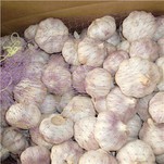 10kg Loose Carton Normal White Garlic Packing