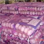 Orgnic Red Garlic in Bulk