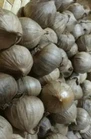 What Is The Difference Between Black Garlic And White Garlic?